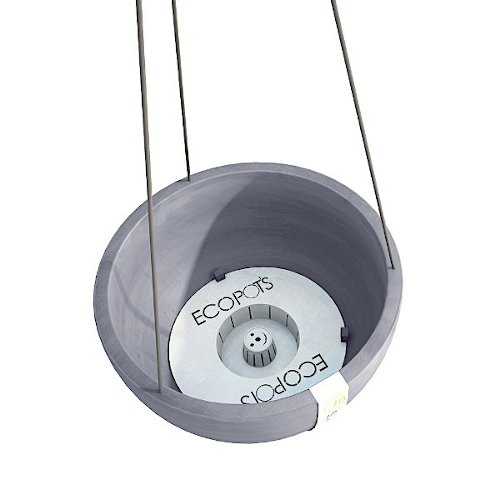 Γλάστρα Hanging Brussels Τμήμα